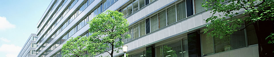 �P(gu��n)��ؐ��