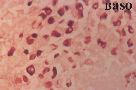 ����ȾɫҺ�����¼t����