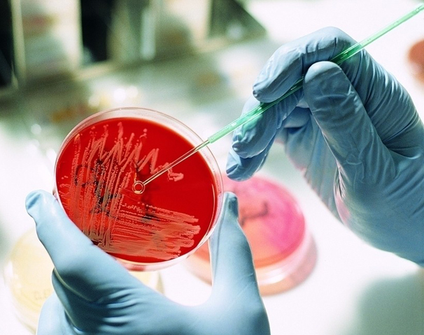 �oѪ�弚(x��)�����B(y��ng)